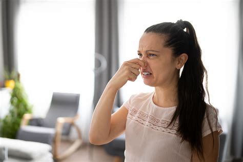 sweet metallic smell in house|pungent odor in house.